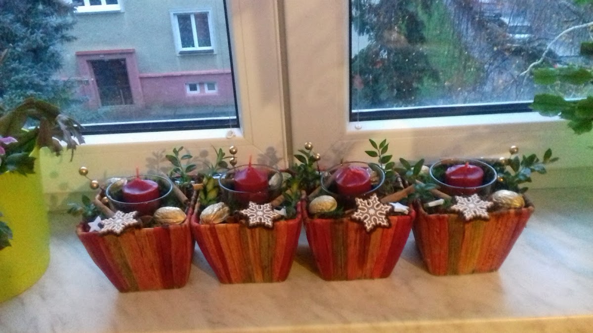 Rokycany, Místní protidrogový koordinátor - foto 4