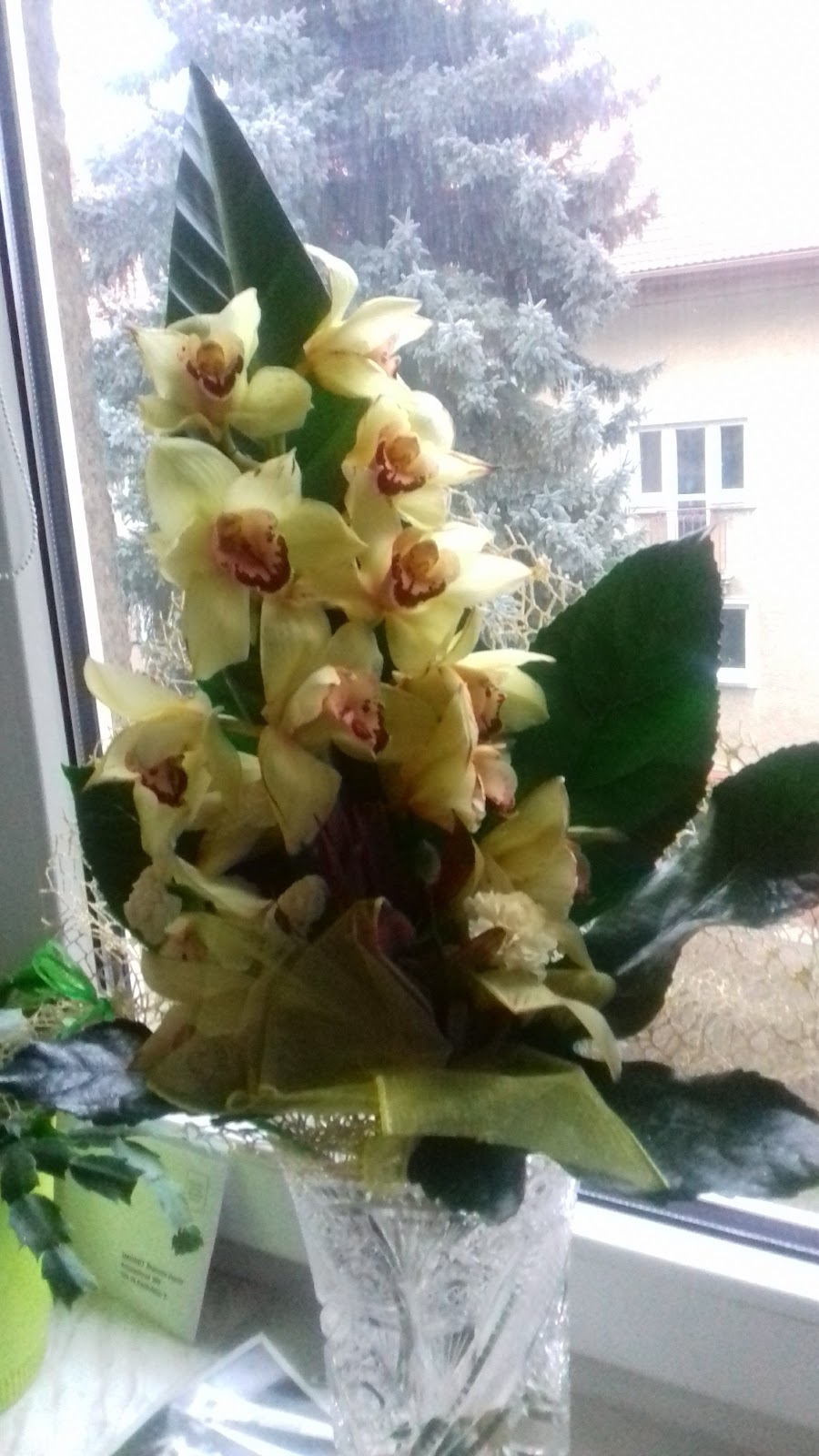 Rokycany, Místní protidrogový koordinátor - foto 8