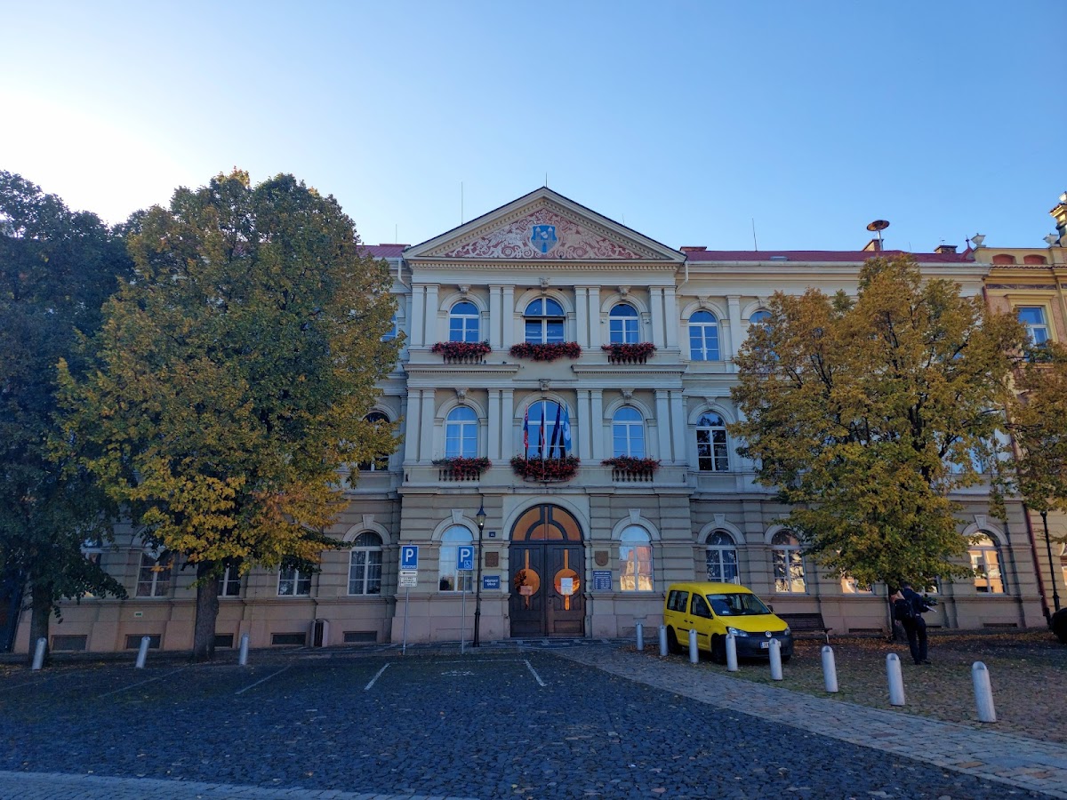 Roudnice nad Labem, Místní protidrogový koordinátor - foto 2