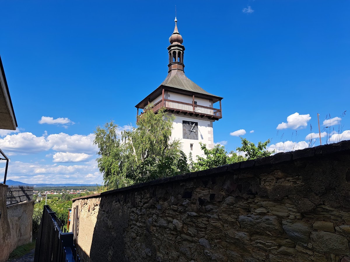 Roudnice nad Labem, Místní protidrogový koordinátor - foto 6