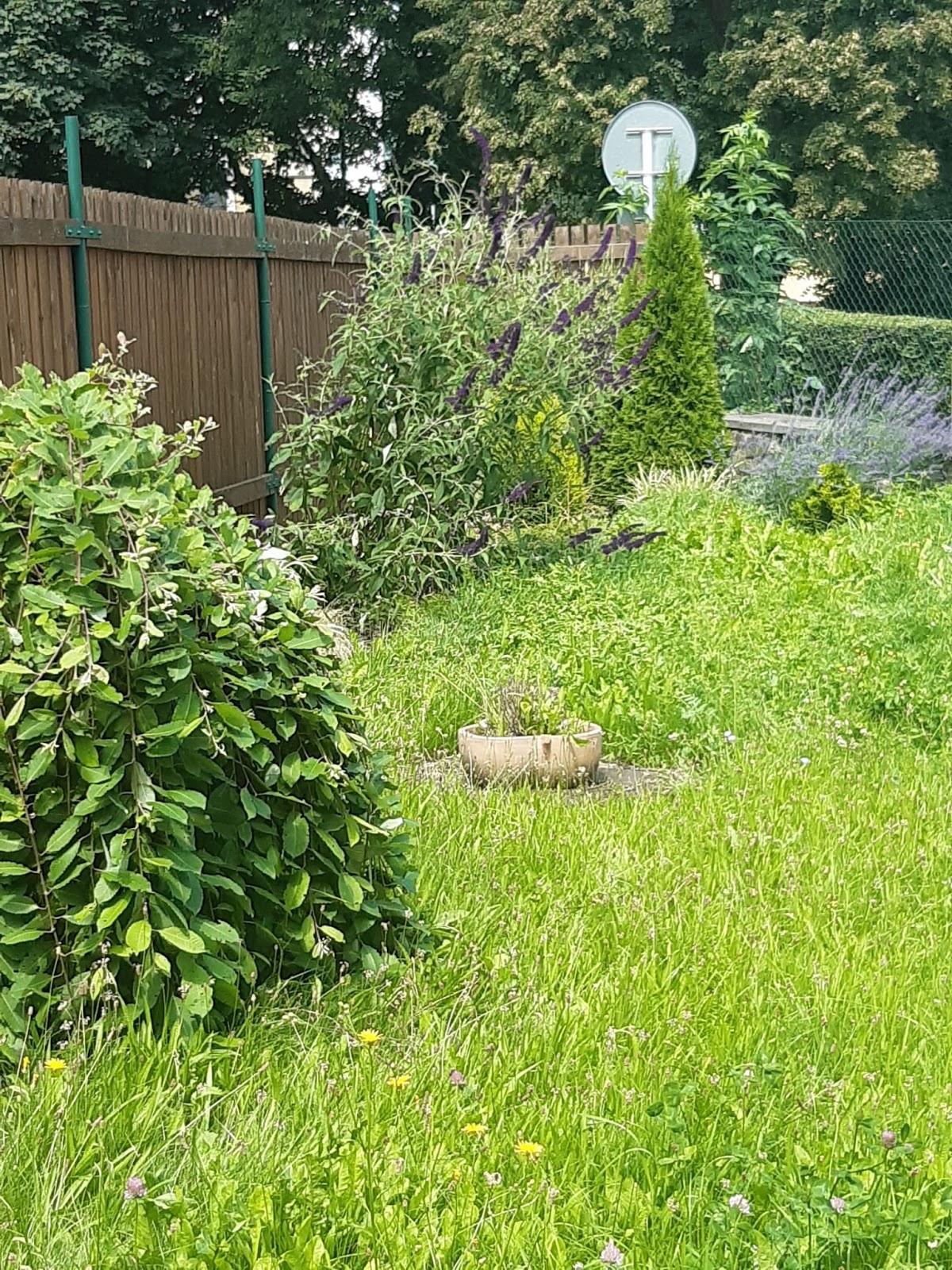 SENIOR CZ, s.r.o. - foto 4