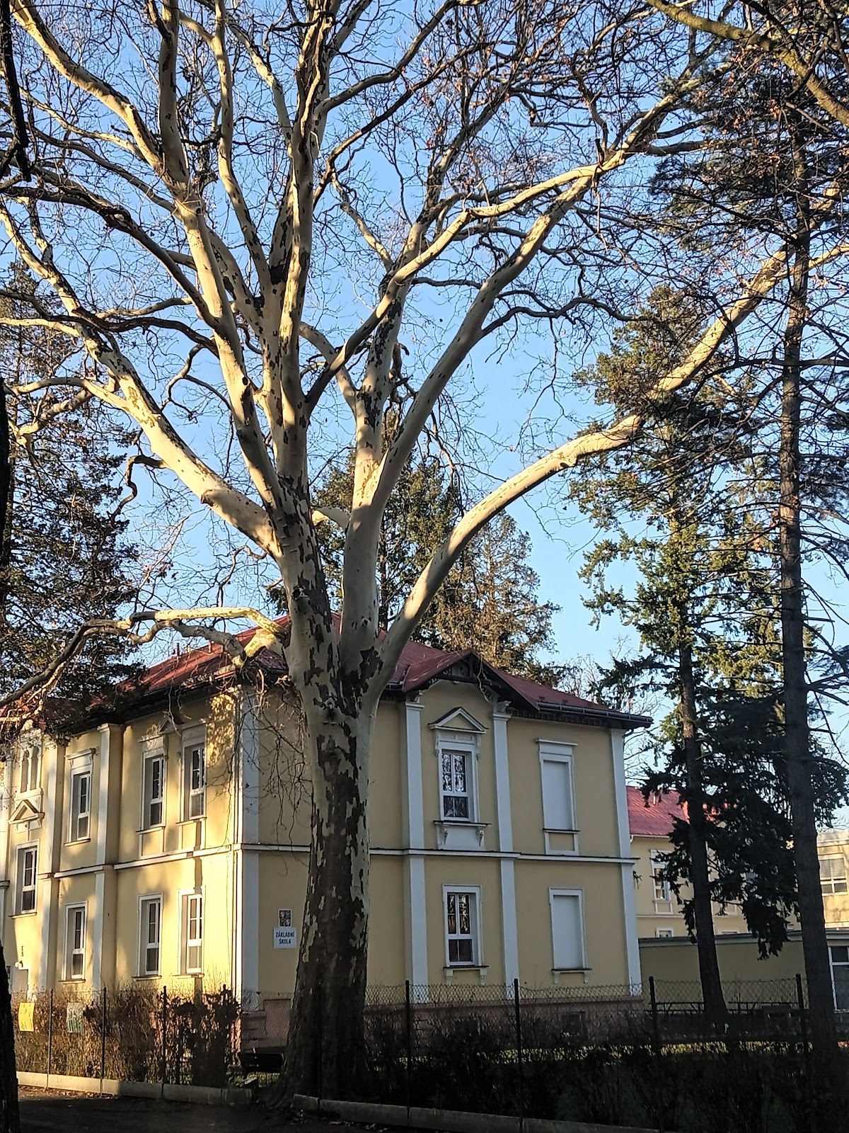 Služba následné péče Psychiatrické nemocnice v Opavě - foto 7