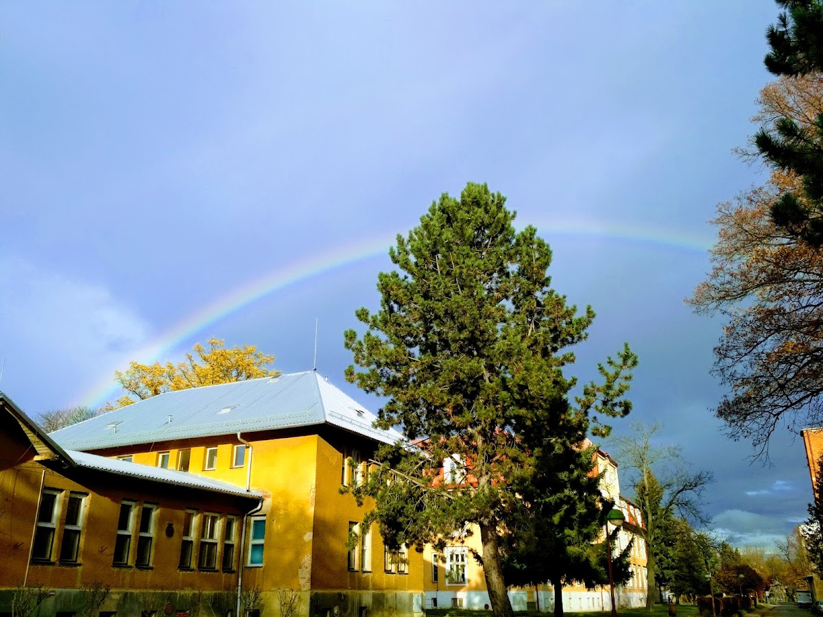 Služba následné péče Psychiatrické nemocnice v Opavě - foto 8