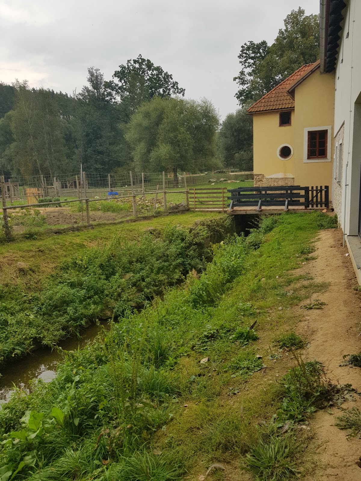 Společnost Podané ruce — Terapeutická komunita v Podcestném Mlýně - foto 5