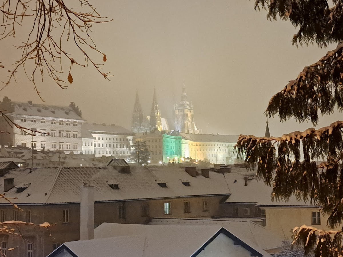 SPOLEČNÝ ŽIVOT - foto 7