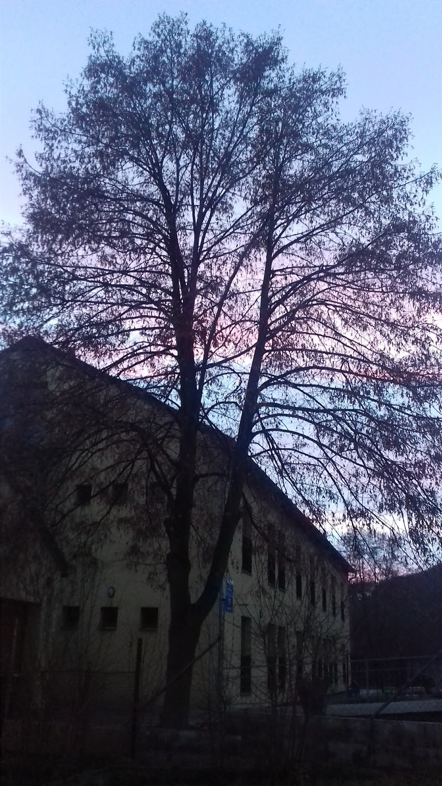 Terapeutická komunita Kaleidoskop - foto 4