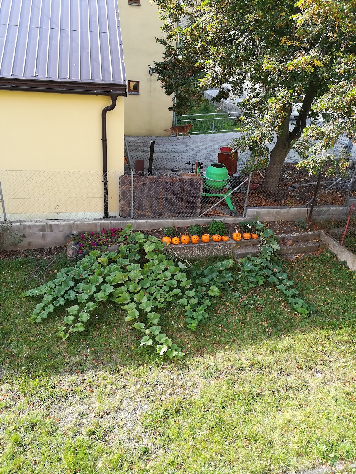 Terapeutická komunita Kaleidoskop - foto 5