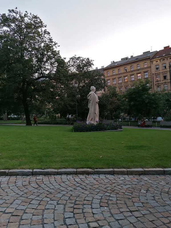 Terénní program Progressive - foto 1