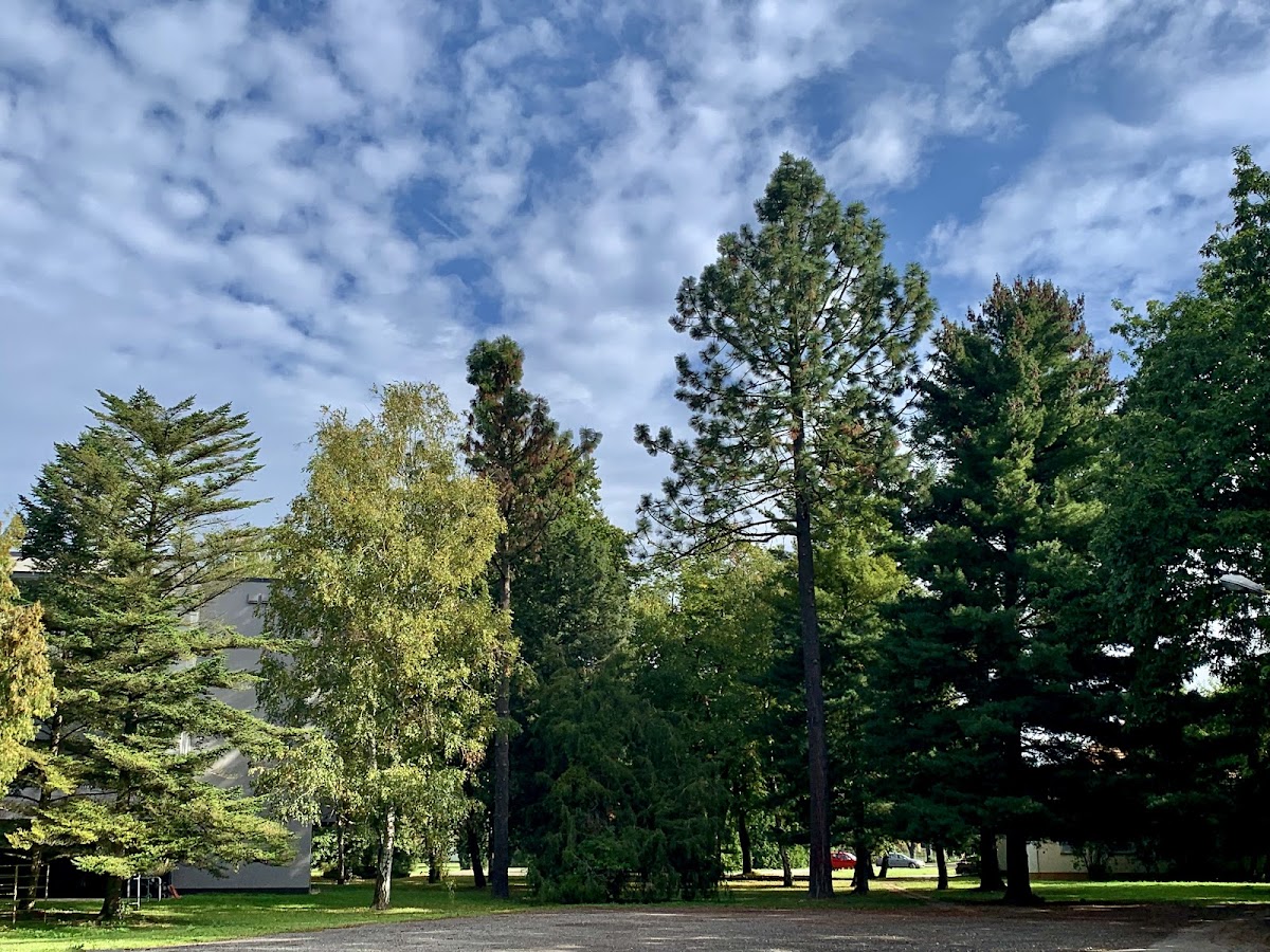 Uherské Hradiště, Infekční oddělení - foto 5