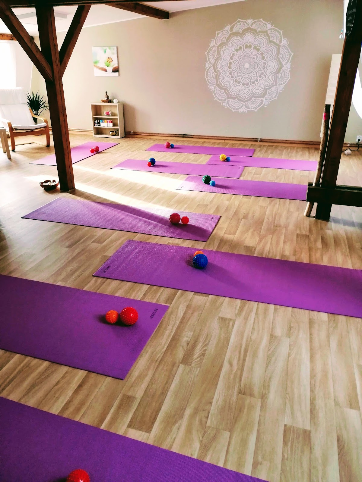 Ústí nad Labem, Studio ZDRAVÍ - foto 10