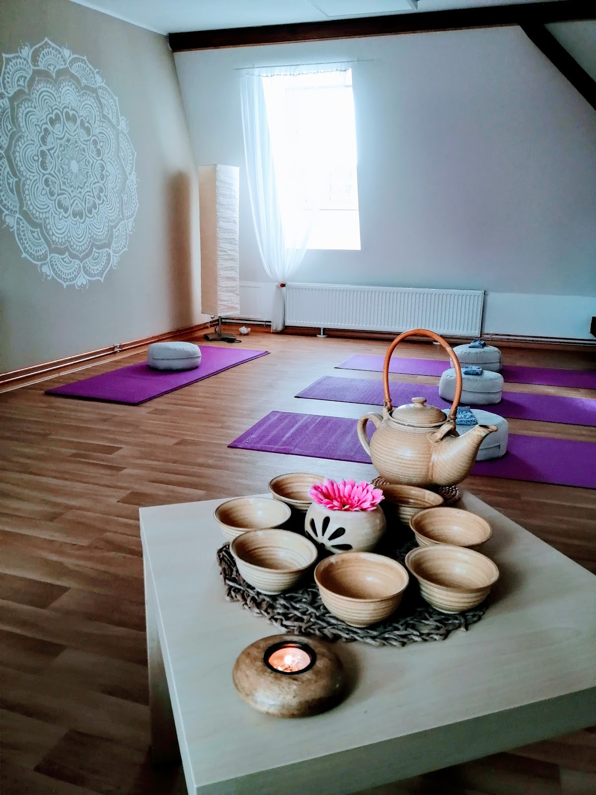 Ústí nad Labem, Studio ZDRAVÍ - foto 6