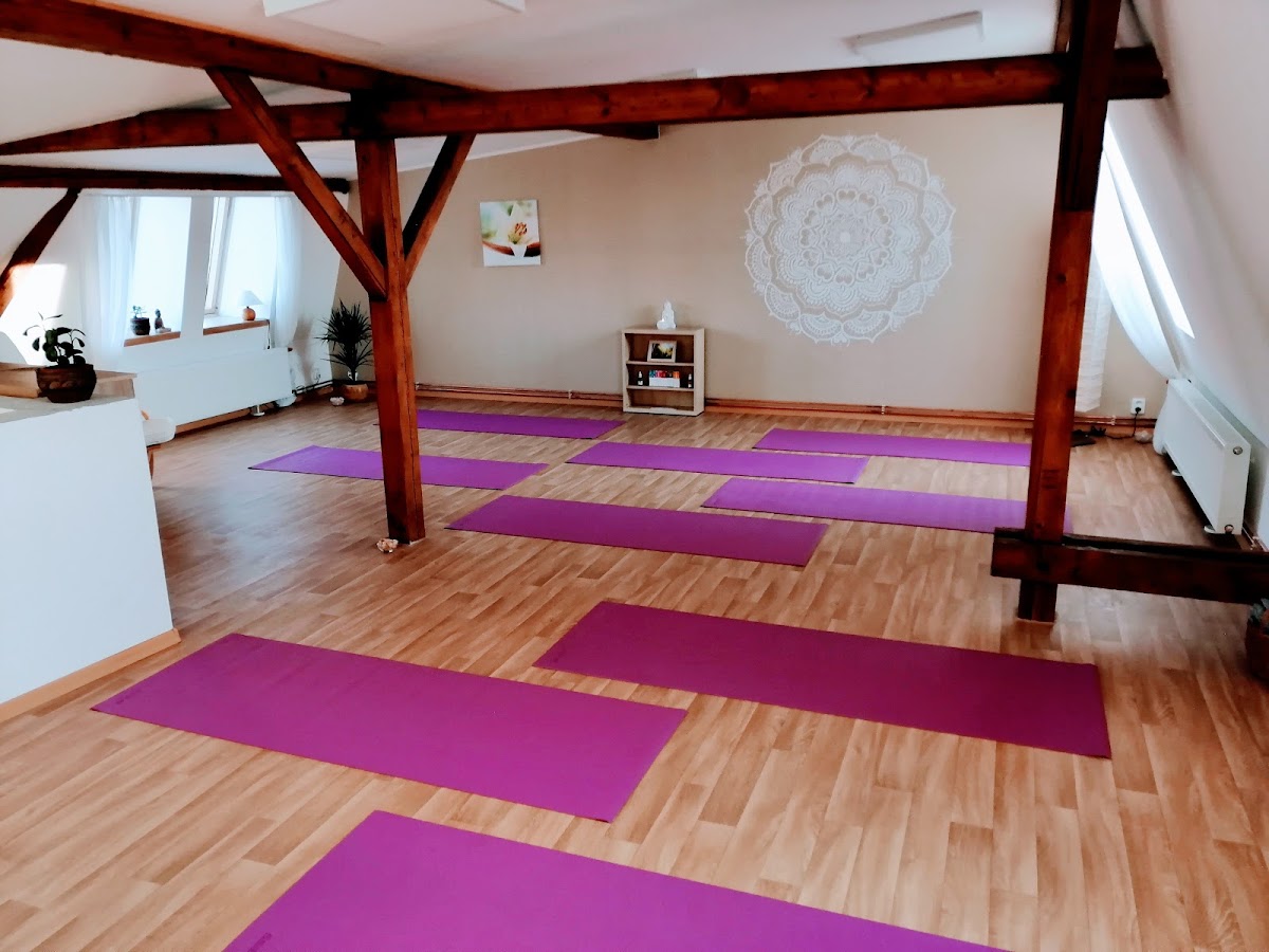 Ústí nad Labem, Studio ZDRAVÍ - foto 7