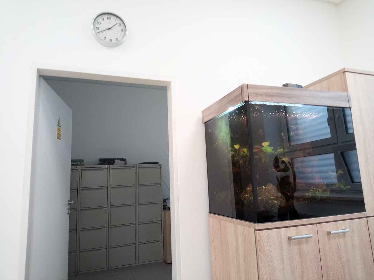 Velké Bílovice, Ambulance praktického lékaře pro dospělé - foto 6