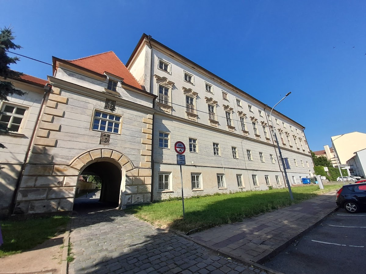 Vyškov, Místní protidrogový koordinátor - Vyškov