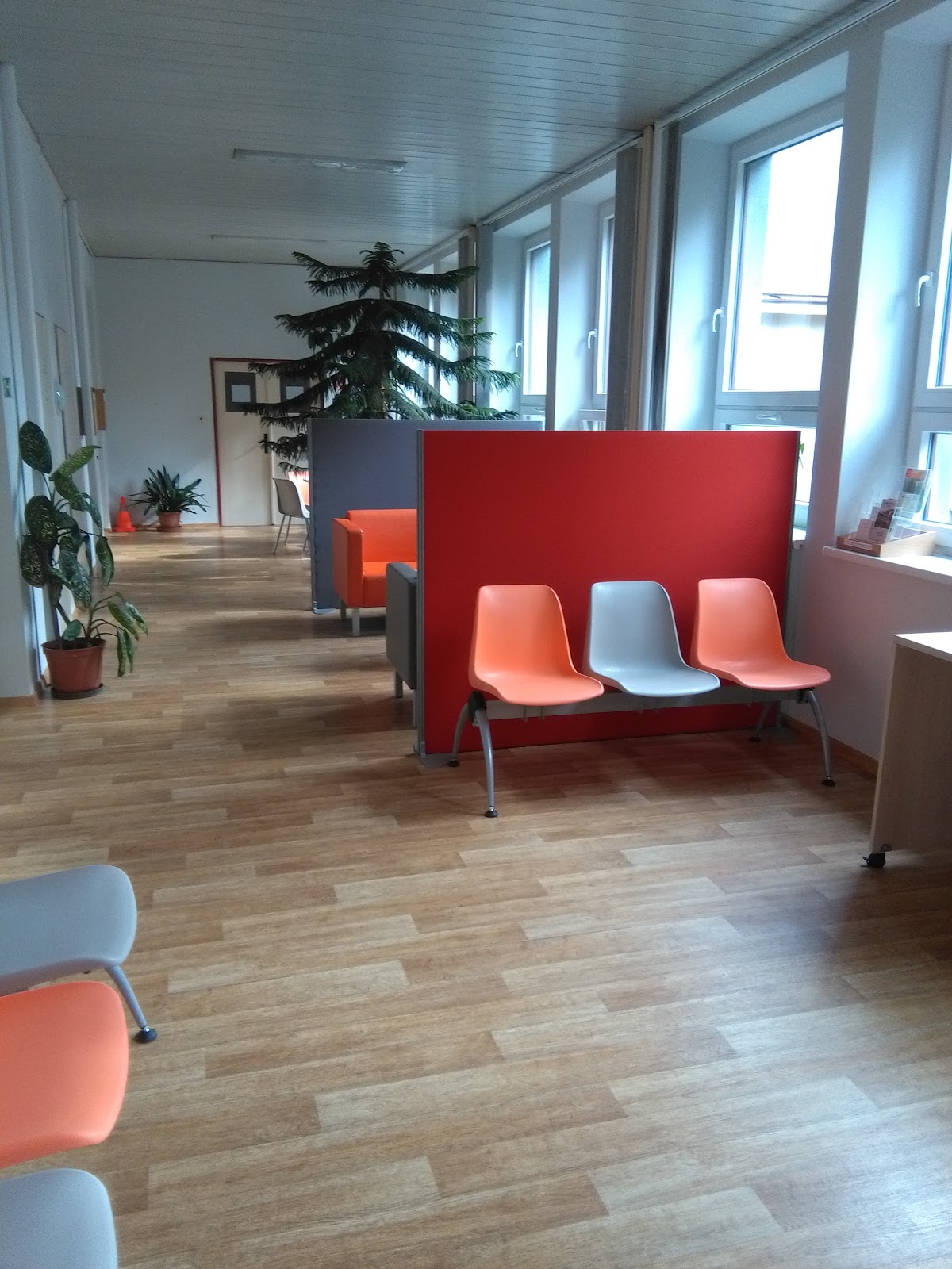 Žamberk, Psychiatrie - foto 4